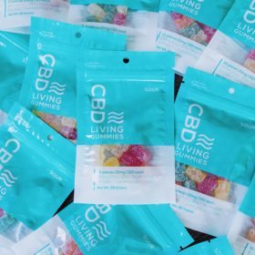 CBD Living Gummies 100mg - Sour
